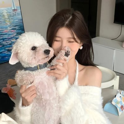 纸牌人生